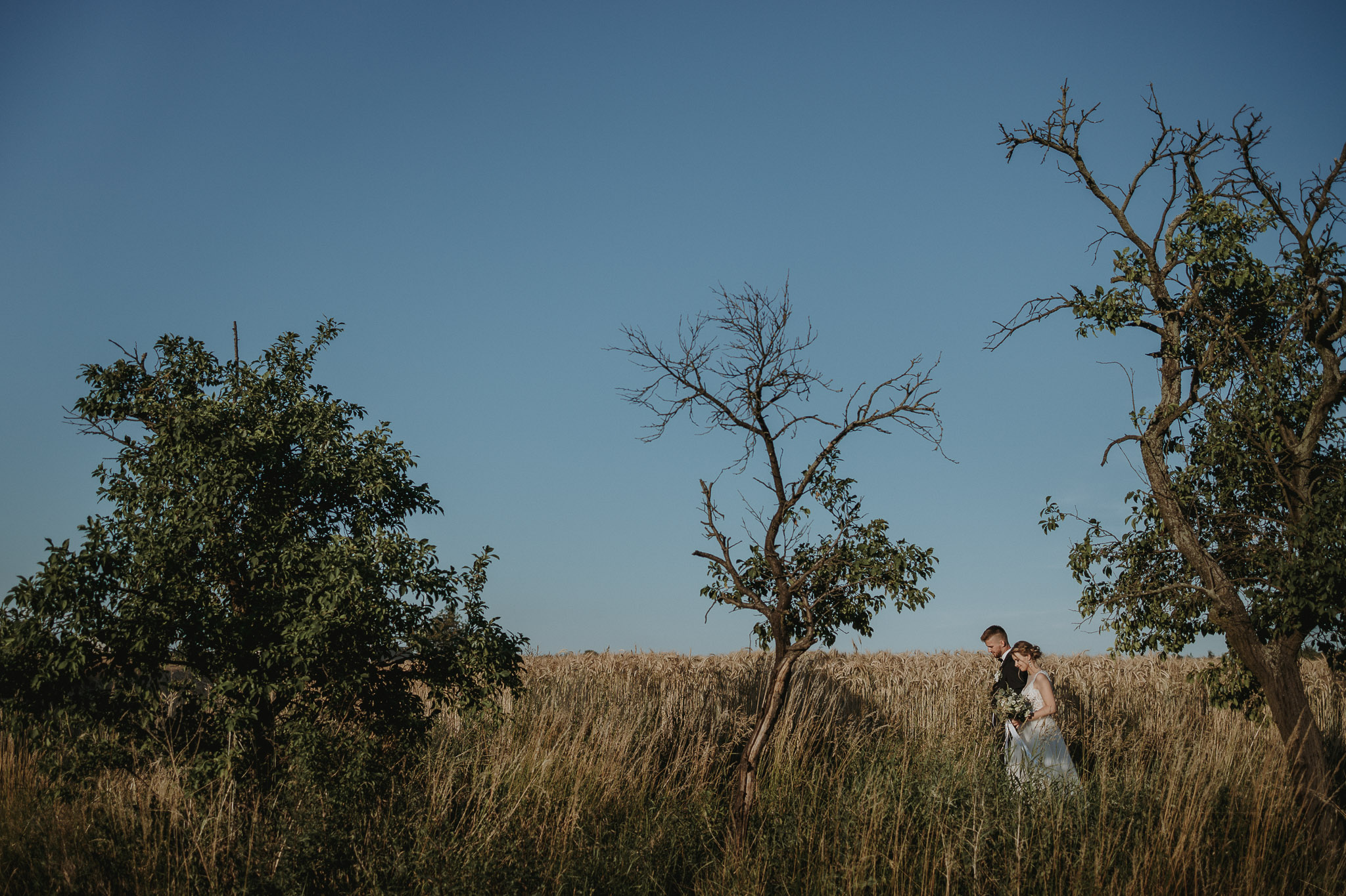 ślub i wesele w zielonej górze